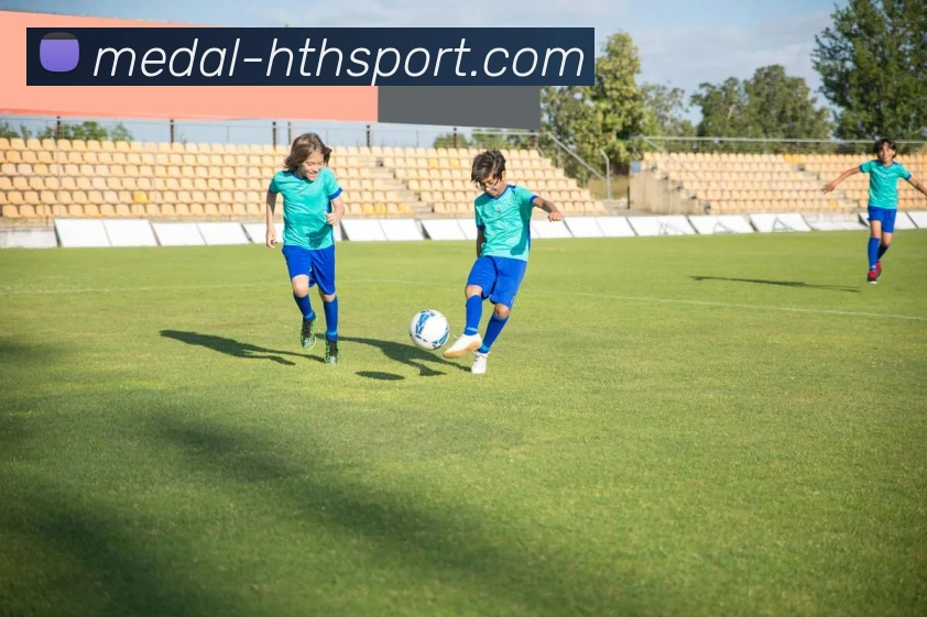 hth体育APP 封面图